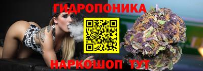 крисы Беслан
