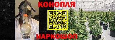 apvp Берёзовский