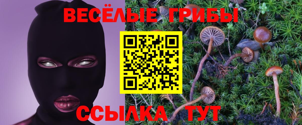 Галлюциногенные грибы мицелий Великие Луки