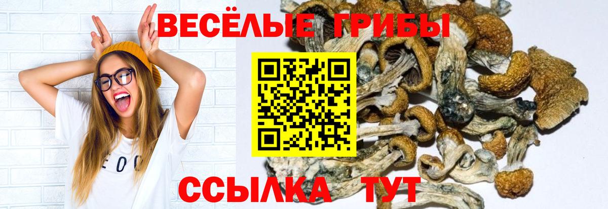 Великие Луки  Псилоцибиновые грибы GOLDEN TEACHER  Вход с VPN 